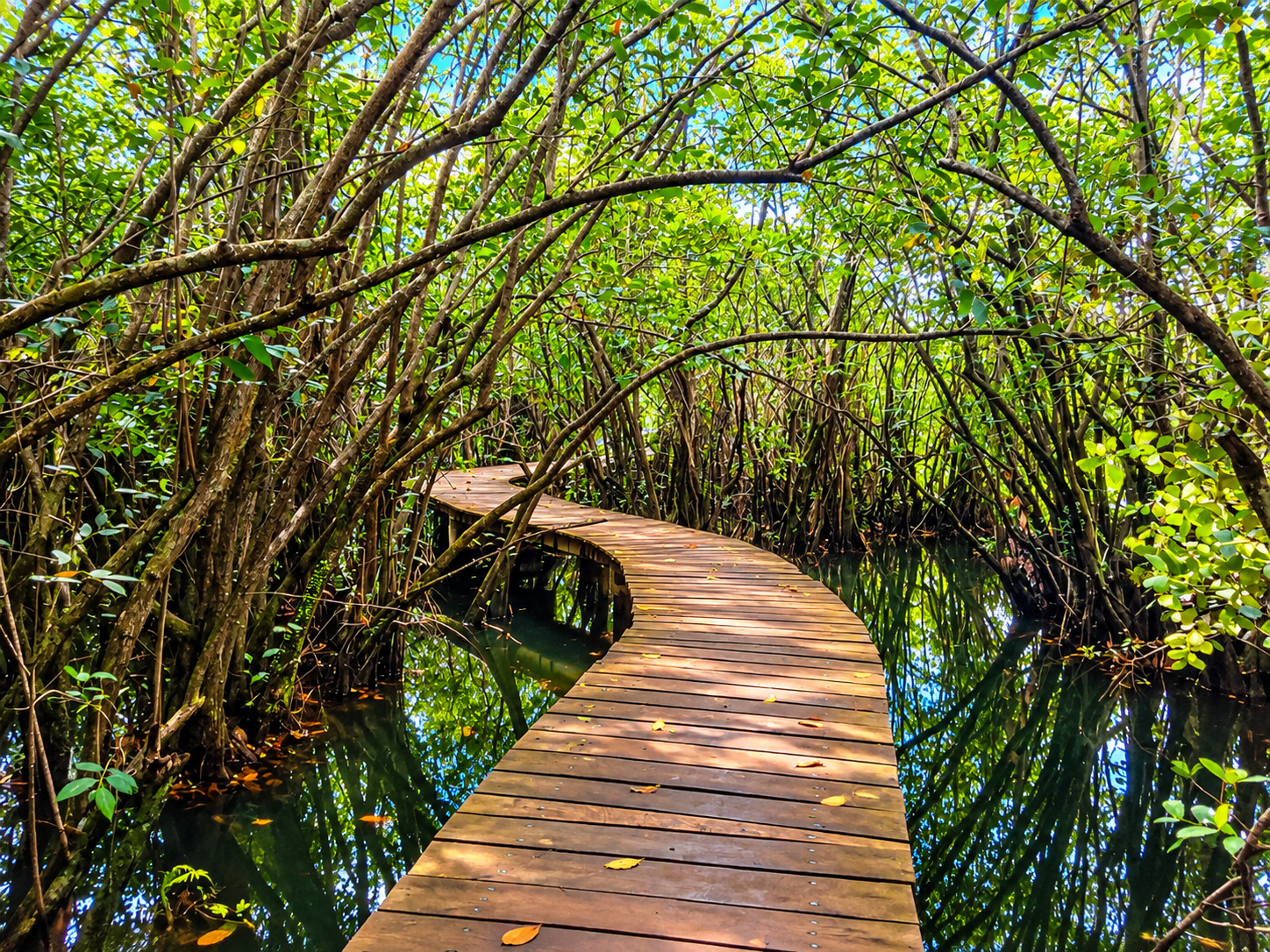 Beddagana Wetland Park near Serandib Stays